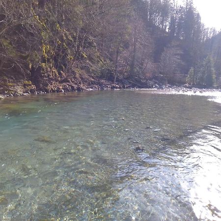 Camping & Glamping Grintovec 普雷德沃尔 外观 照片