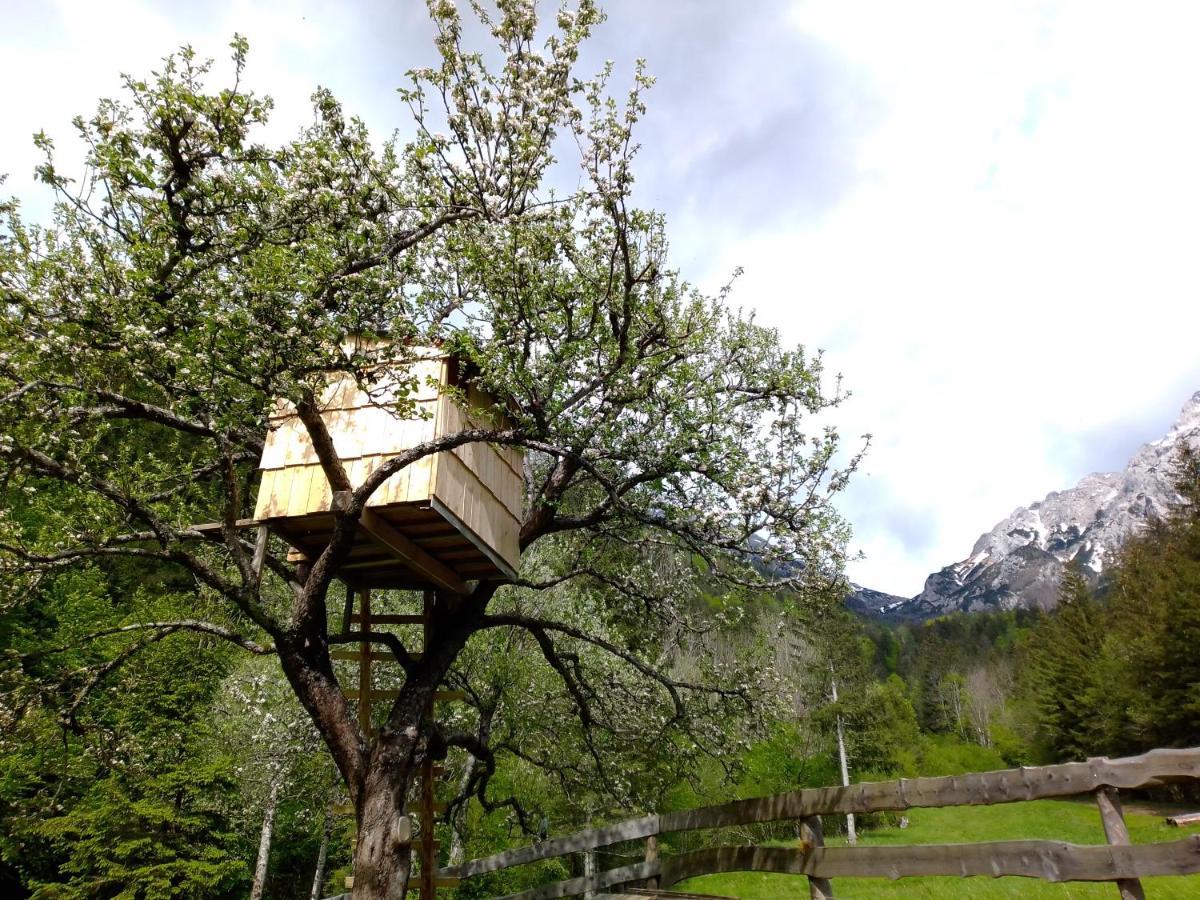 Camping & Glamping Grintovec 普雷德沃尔 外观 照片