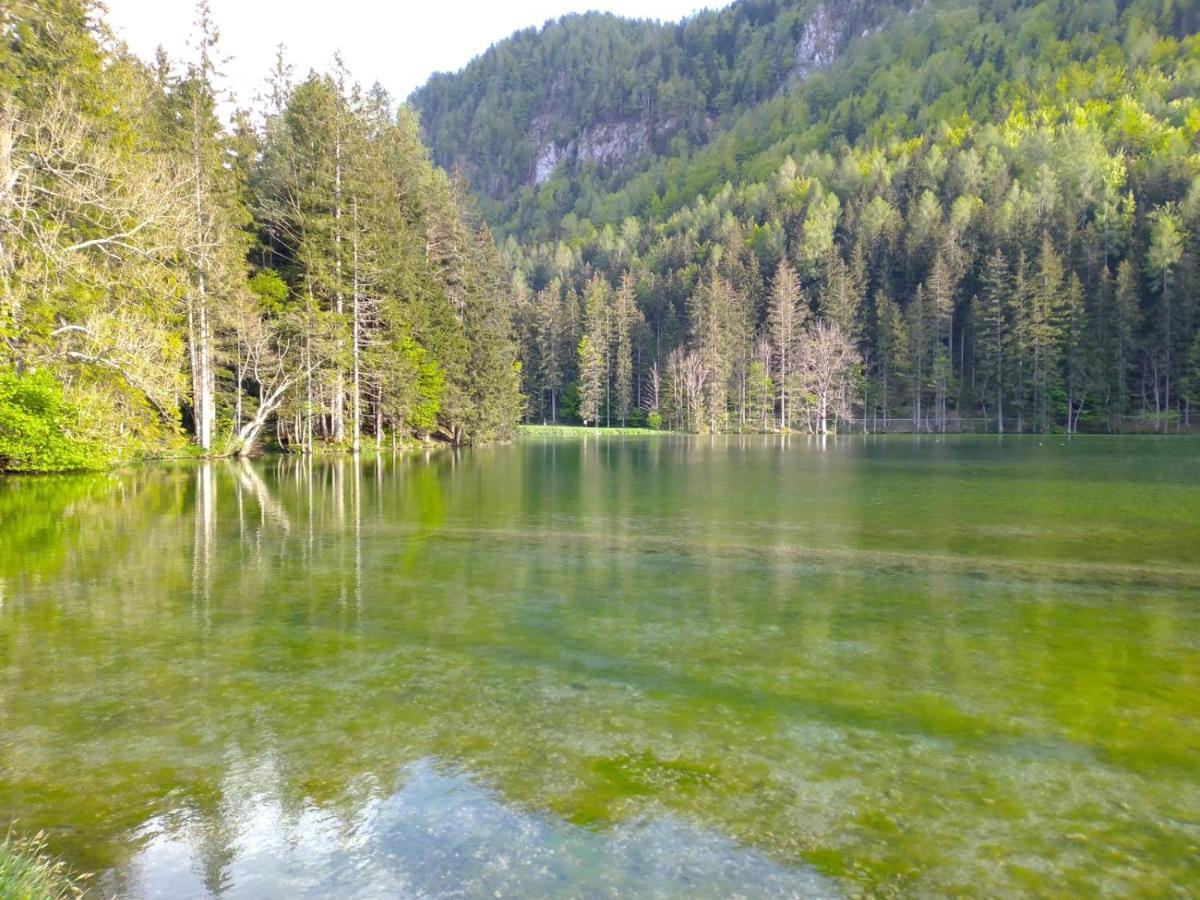 Camping & Glamping Grintovec 普雷德沃尔 外观 照片