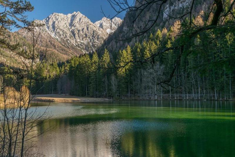 Camping & Glamping Grintovec 普雷德沃尔 外观 照片