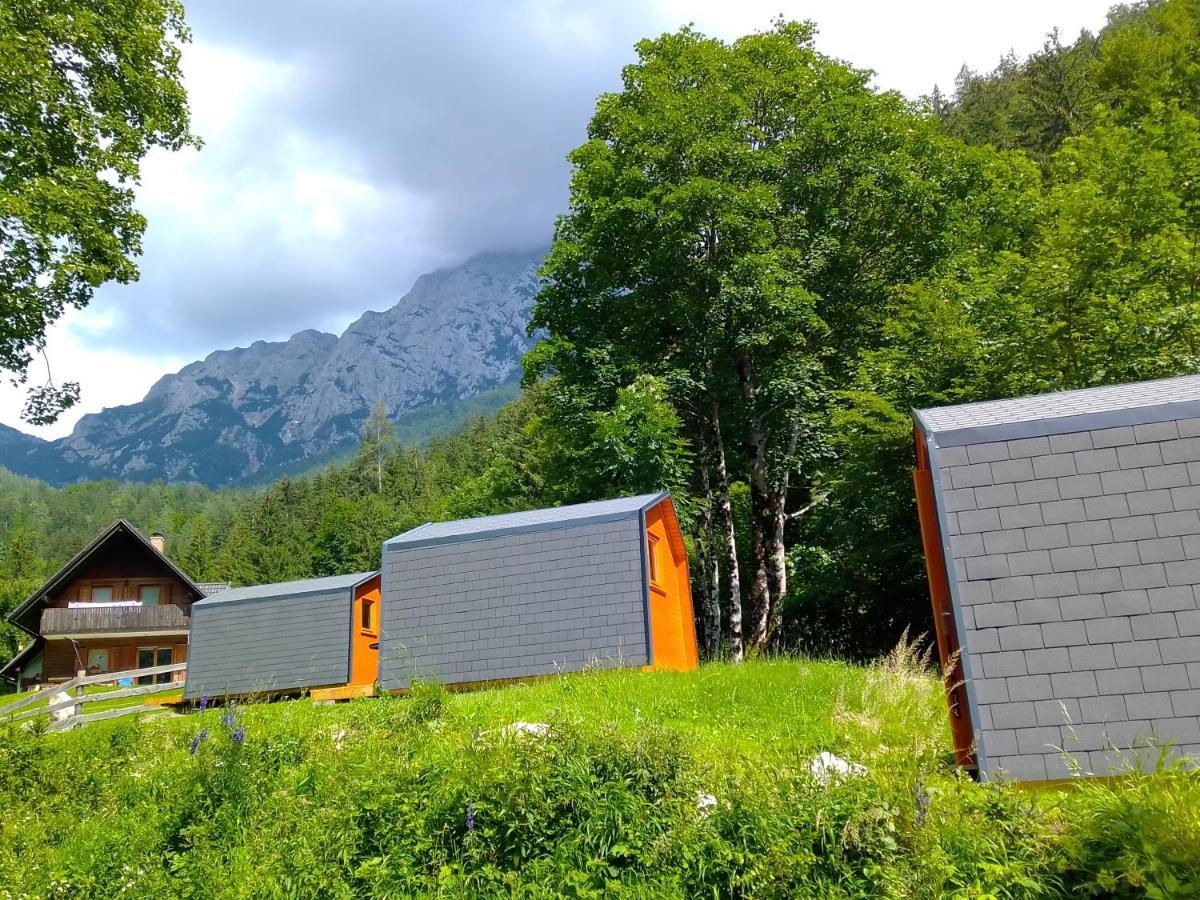 Camping & Glamping Grintovec 普雷德沃尔 外观 照片