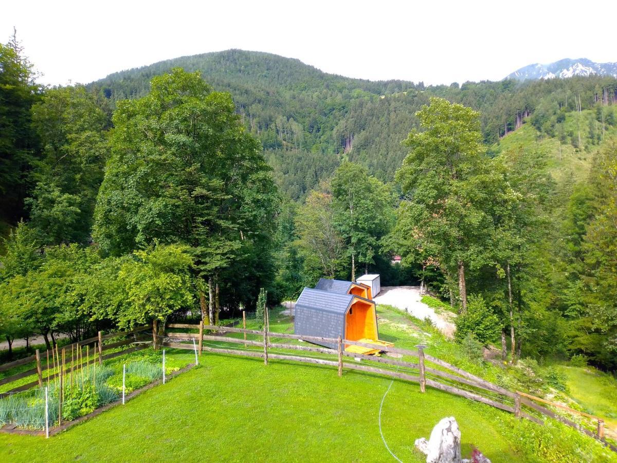 Camping & Glamping Grintovec 普雷德沃尔 外观 照片