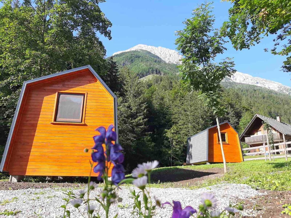 Camping & Glamping Grintovec 普雷德沃尔 外观 照片