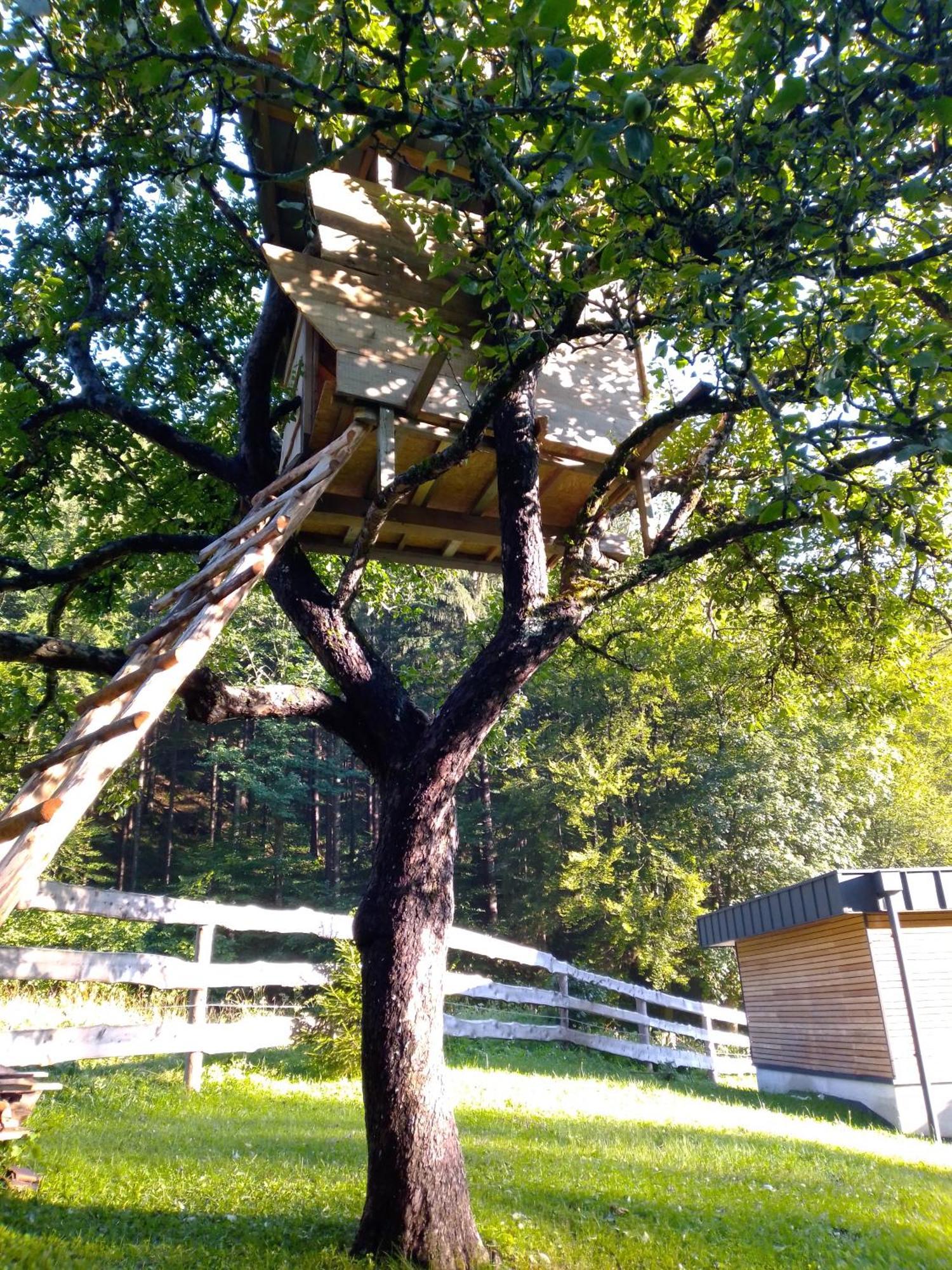 Camping & Glamping Grintovec 普雷德沃尔 外观 照片