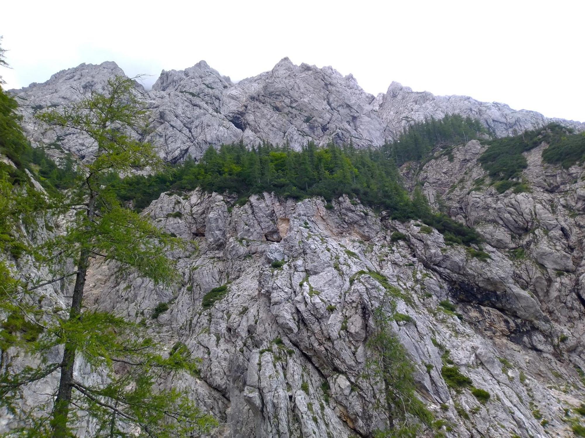 Camping & Glamping Grintovec 普雷德沃尔 外观 照片