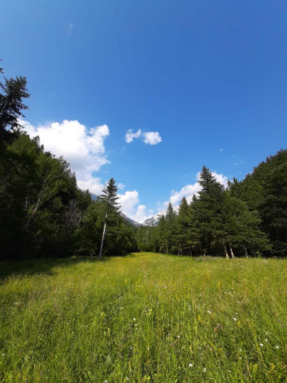 Camping & Glamping Grintovec 普雷德沃尔 外观 照片