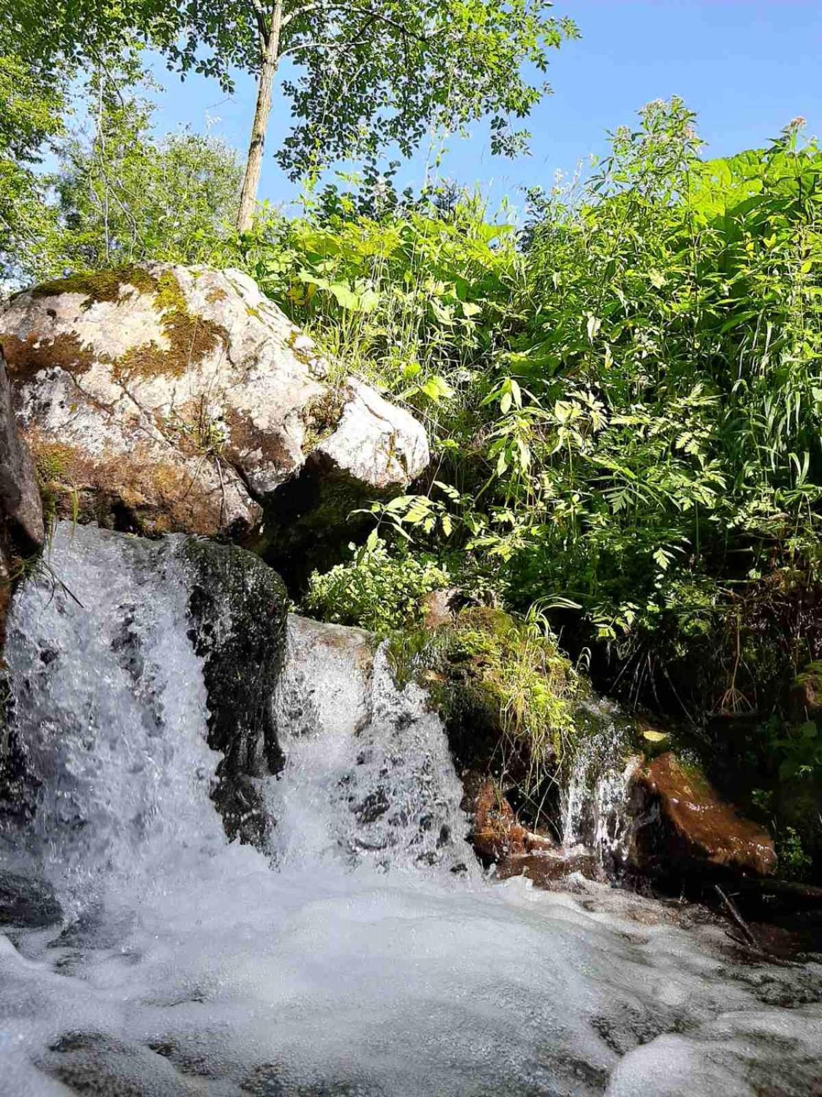 Camping & Glamping Grintovec 普雷德沃尔 外观 照片
