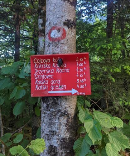 Camping & Glamping Grintovec 普雷德沃尔 外观 照片